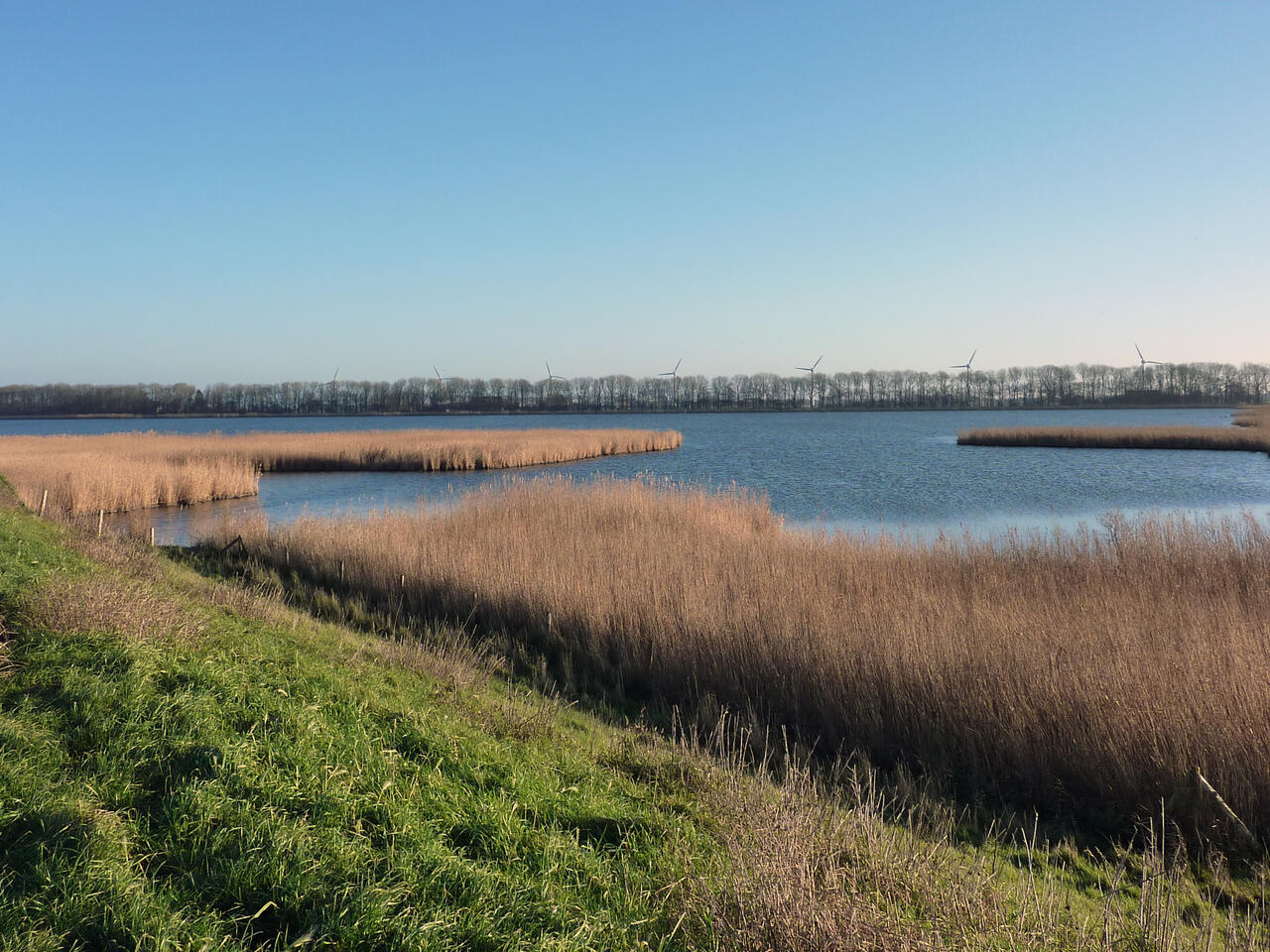 Pishoek in Slootdorp P1090251 Slootdorp.jpg