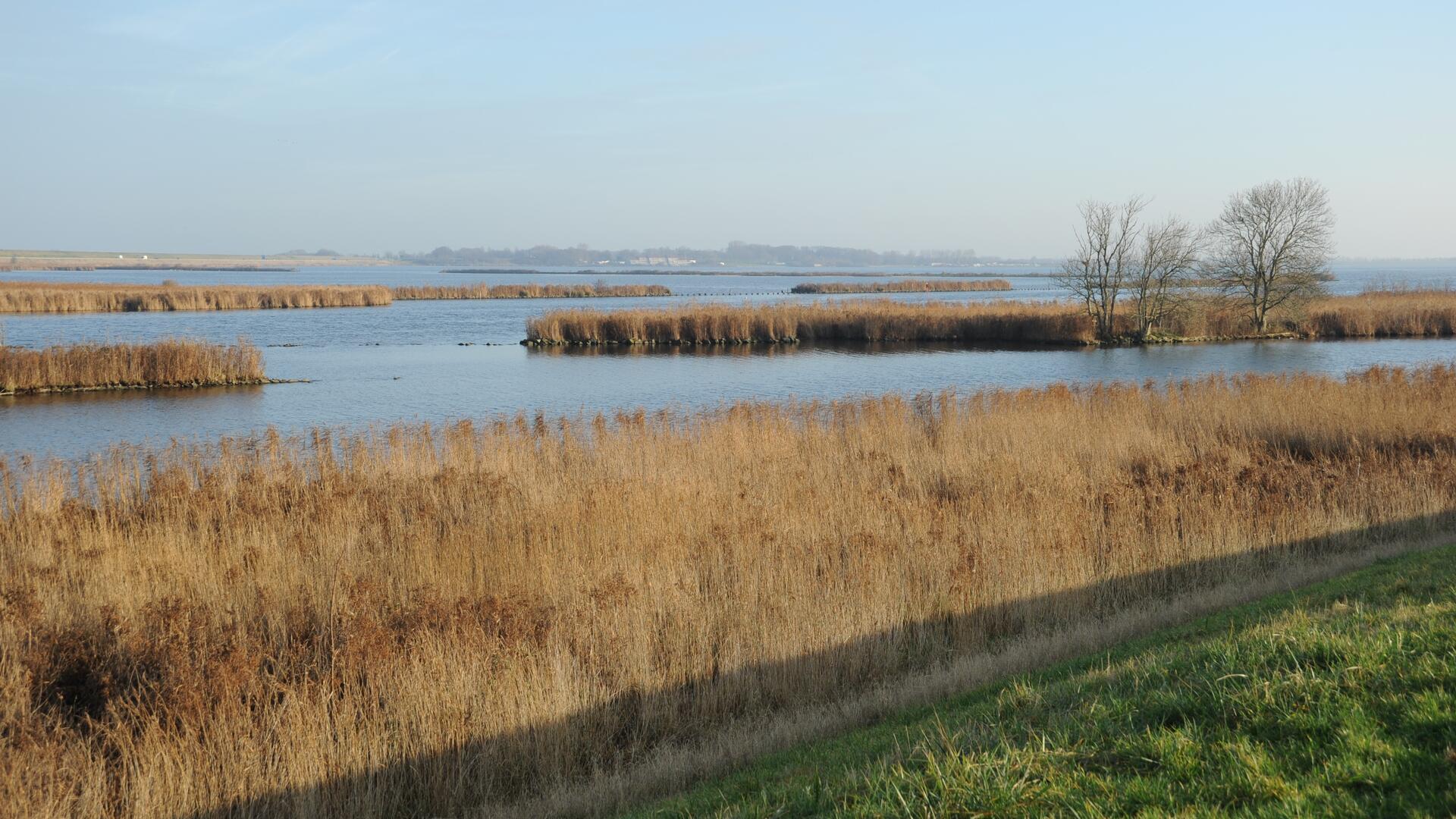 Amstelmeer.jpg